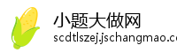 小题大做网